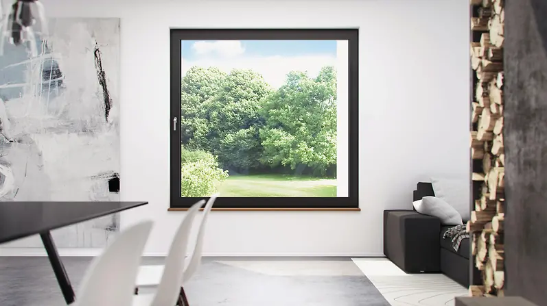 windows-standardwindow1-image